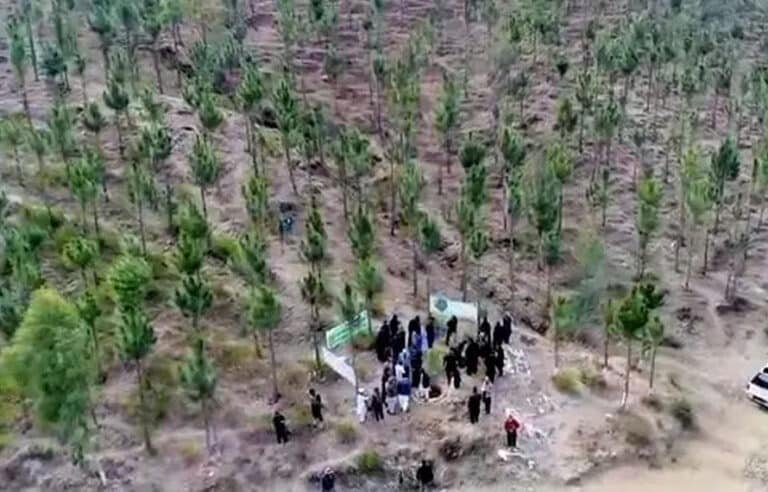 صوبائی حکومت کی ایک اور کامیابی ،کہنیاں بلاک گھنے جنگل میں بدل رہاہے
