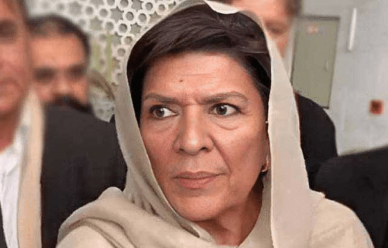 سوشل میڈیا پر منفی پروپیگنڈا، علیمہ خان جے آئی ٹی میں طلب