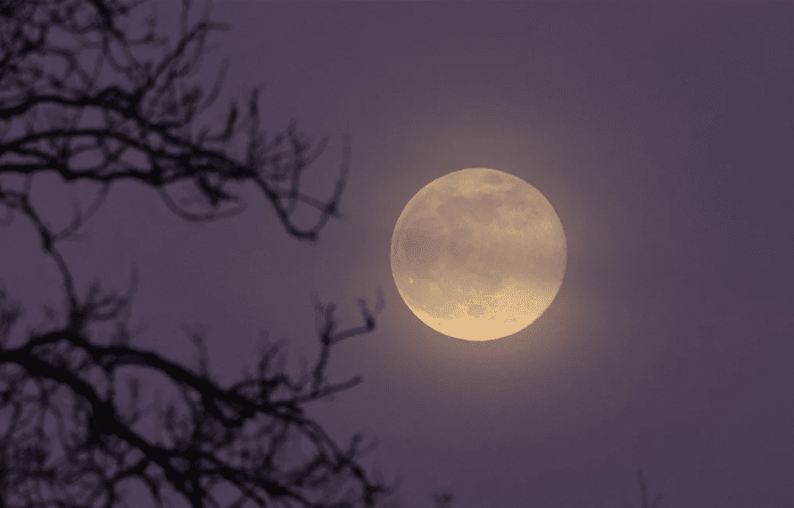 پاکستان سمیت دنیا بھر میں پنک مون کا شاندار نظارہ