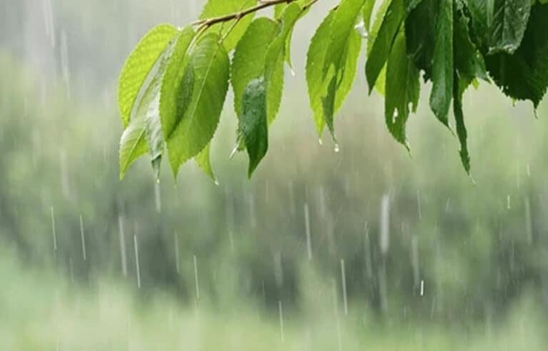 خیبر پختونخوا میںتیز ہواؤں، گرج چمک اور بارش کا امکان،محکمہ موسمیات نے پیشگوئی کردی