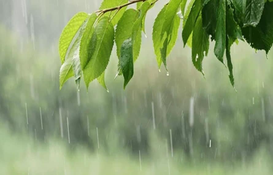 خیبر پختونخوا میںتیز ہواؤں، گرج چمک اور بارش کا امکان،محکمہ موسمیات نے پیشگوئی کردی