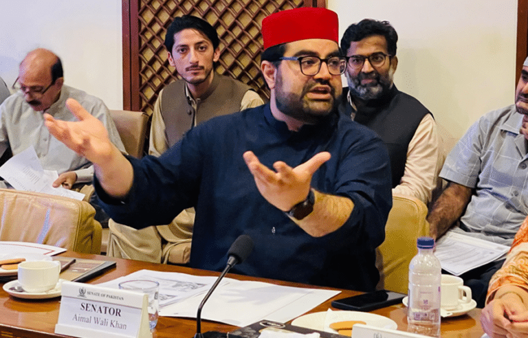 پختونخوا کے بجٹ میں 109 ارب کی کٹوتی پر ایمل ولی خان کا سخت ردعمل، حکومت کو آڑے ہاتھوں لے لیا