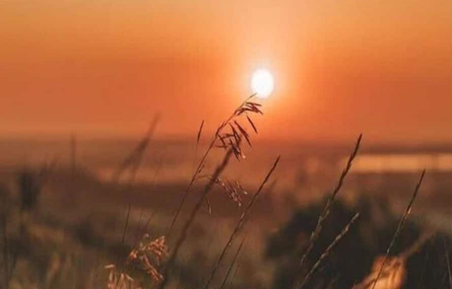 آج رواں سال کا طویل ترین دن اور مختصر ترین رات