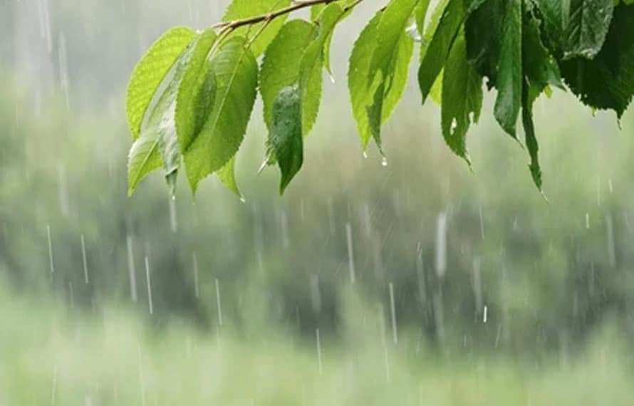 گرج چمک کے ساتھ بارش کی پیشگوئی، خیبر پختونخوا میں موسم بدلنے کو تیار