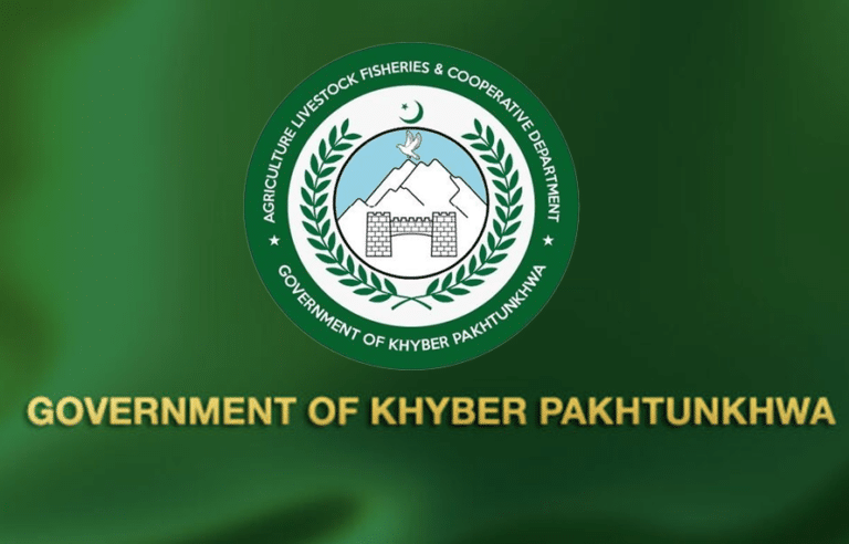 محکمہ لائیو سٹاک خیبرپختونخوا کی 80 سرکاری گاڑیاں غائب، آڈٹ رپورٹ میں انکشاف