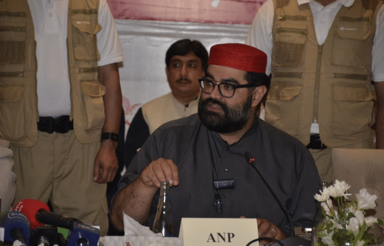 آئینی حقوق مانگنا غداری نہیں، ہم آئین کے تحت اپنا حق مانگتے ہیں، ایمل ولی خان