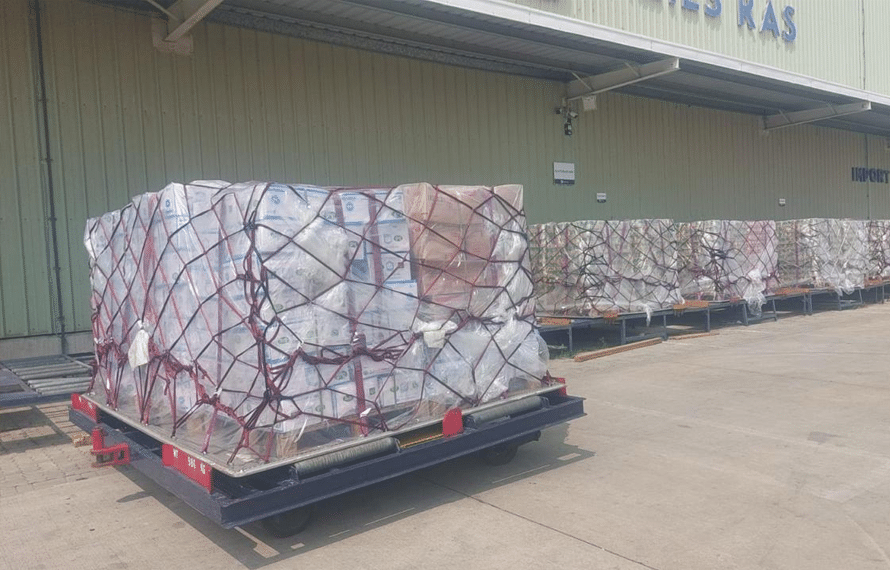 وزیر اعظم کی ہدایت پر 100 ٹن امدادی کھیپ فلسطین بھجوانے کی تیاری