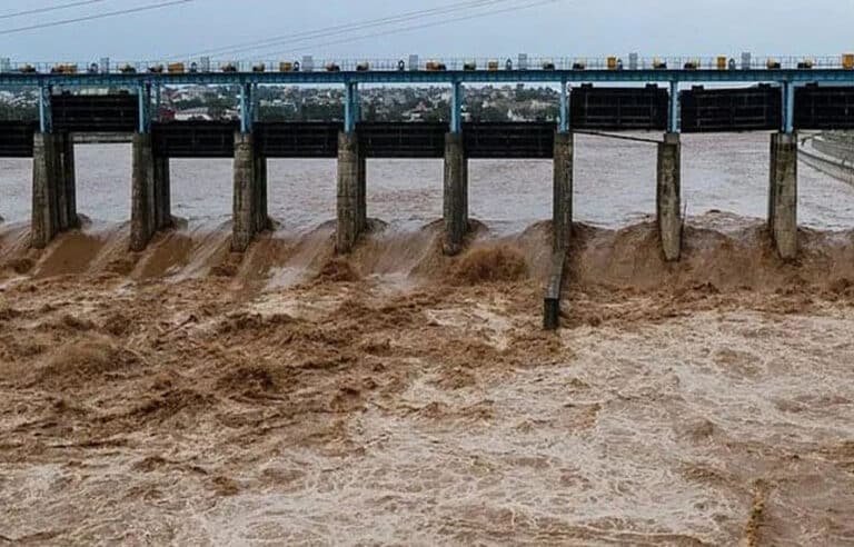 پنجاب میں ممکنہ سیلاب، 7 اضلاع میں فوج تعینات، دریا بپھر گئے