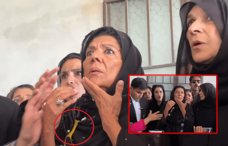 علیمہ خان کو میڈیا گفتگو کے دوران خاتون نے انڈہ مار دیا