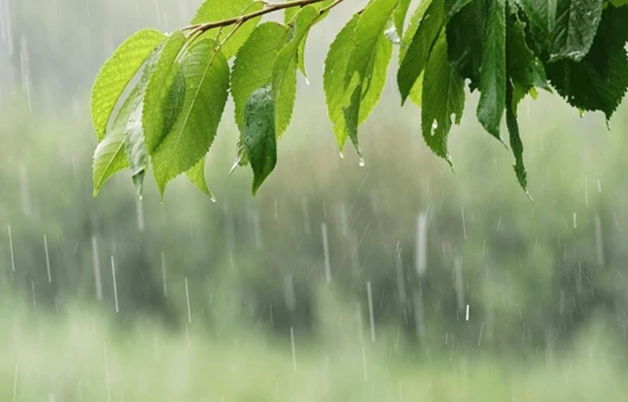 بارش یا خشک موسم؟محکمہ موسمیات نے پیشگوئی جاری کردی