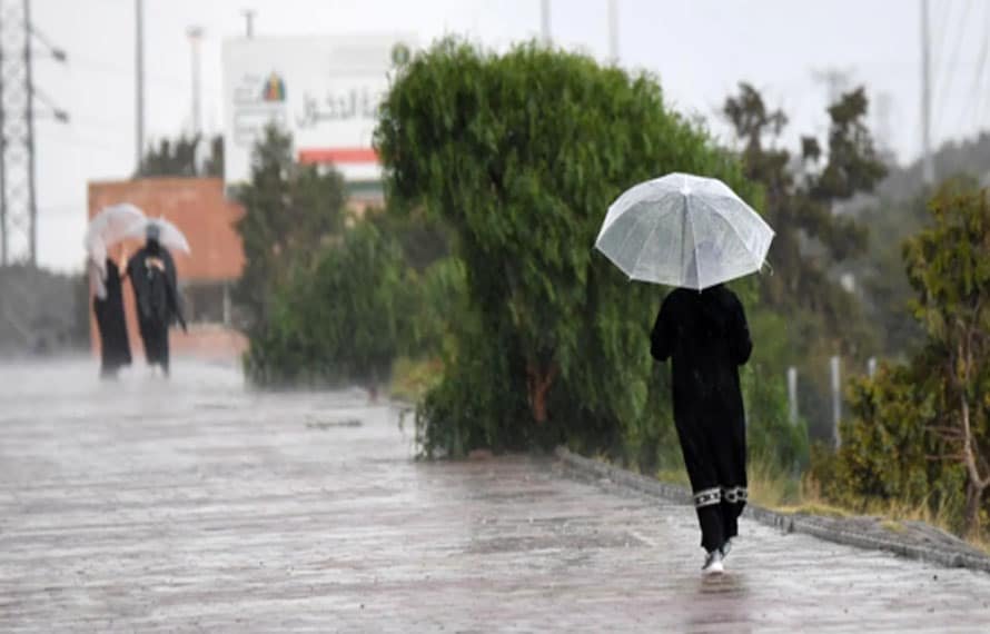 خیبر پختونخوا میں اگلے 24 گھنٹوں کے دوران بارش متوقع، این ڈی ایم اے کا الرٹ جاری