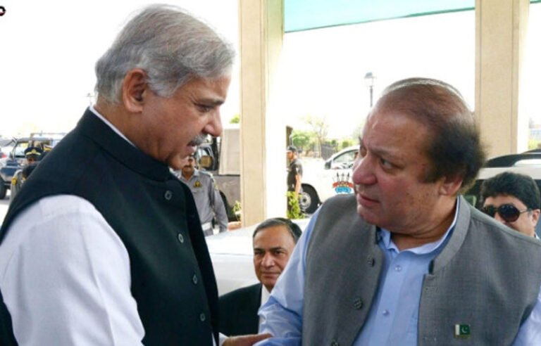 شہباز شریف کی محنت رنگ لا رہی ہے، ملک ترقی کی راہ پر گامزن ہے، معیشت کو مزید مضبوط بنانا ہوگا، نواز شریف