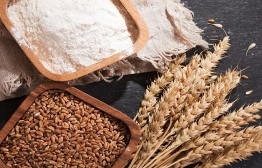 ملک میں گندم کے بحران کا قوی امکان ، قیمت کہاں تک جائے گی؟جانئے