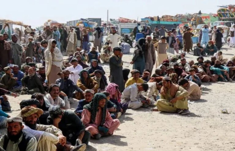 غیرقانونی افغان باشندوں کے خلاف کریک ڈاؤن، متعدد گرفتاریاں