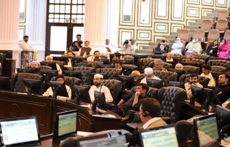 خیبرپختونخوا کے حکومتی اراکین کا امن و امان کیلئے اداروں کے شانہ بشانہ کھڑے ہونے کا فیصلہ