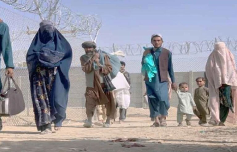 غیر قانونی تارکین وطن عالمی سلامتی کیلئے چیلنج، پاکستان کے موقف کی بین الاقوامی سطح پر تائید