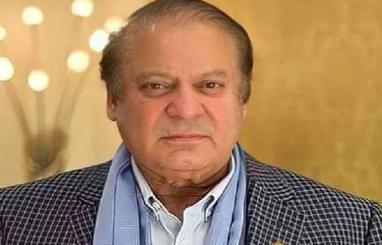 گلگت میں سڑکوں پر کھڈے دیکھ کربہت دکھ ہوا ، نواز شریف