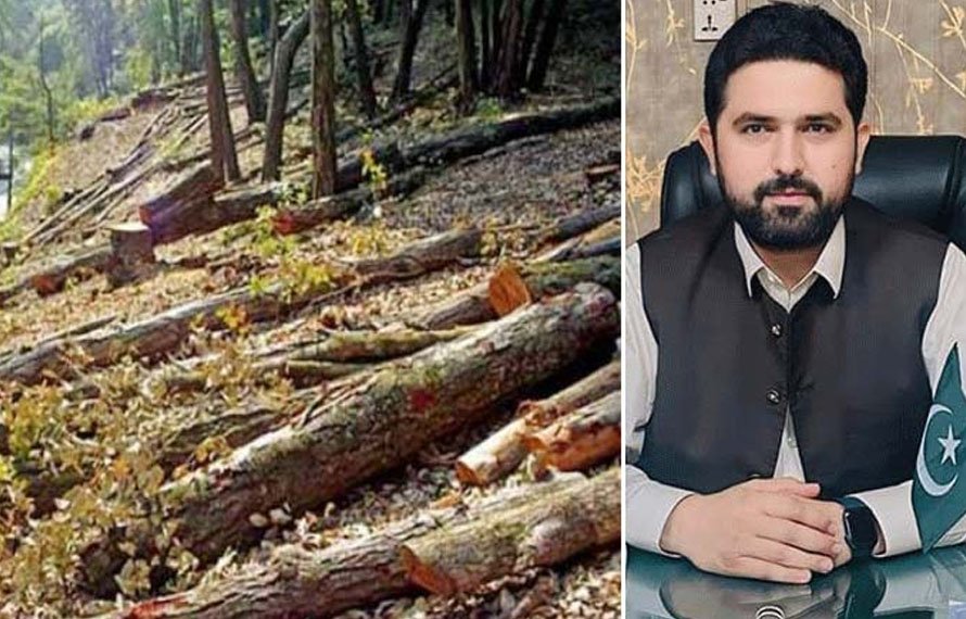وزیراعلیٰ خیبرپختونخواکا درختوں کی غیر قانونی کٹائی اور ٹمبر مافیا کیخلاف زیرو ٹالرنس کا اعلان