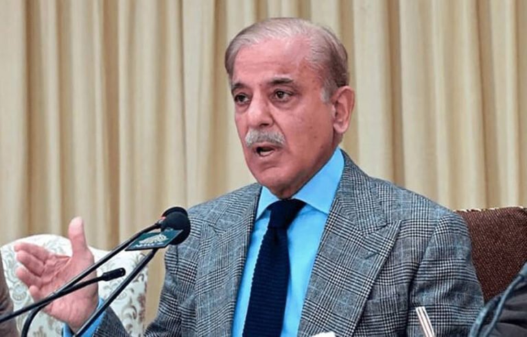 جنگ بندی کی خلاف ورزیاں افسوسناک ہیں، تمام فریقین دو ہفتے تک تحمل کا مظاہرہ کریں، وزیراعظم