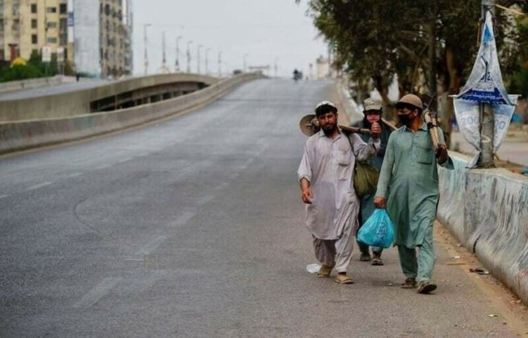 خیبرپختونخوا میں 2,800 نئی ملازمتیں! کم پڑھے لکھے بے روزگار افراد کیلئے خوشخبری، نوکریوں کا اعلان کر دیا گیا