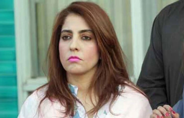 وزیراعلیٰ کے پی کو سندھ میں خوش آمدید کہا لیکن وہ پھر بھی خوش نہیں! پلوشہ خان نے اہم حقائق بے نقاب کر دیے