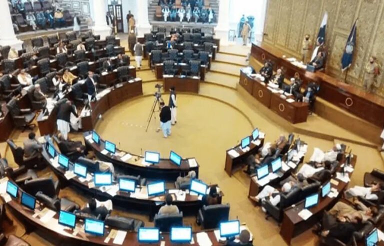 محکمہ صحت کی آسامیوں پر دوسرے اضلاع کے افراد کی بھرتی کا معاملہ، حکومتی رکن اسمبلی کی استعفے کی دھمکی