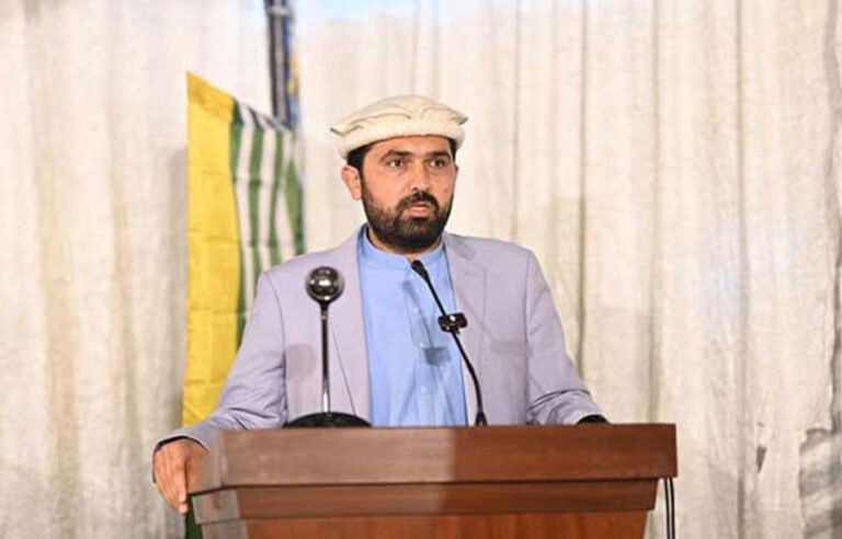 پی ٹی آئی کا ’وی آئی پی کلچر‘ ختم کرنے کا انوکھا انداز، وزیراعلیٰ سہیل آفریدی کا 120 گاڑیوں کے ساتھ بنوں کا دورہ