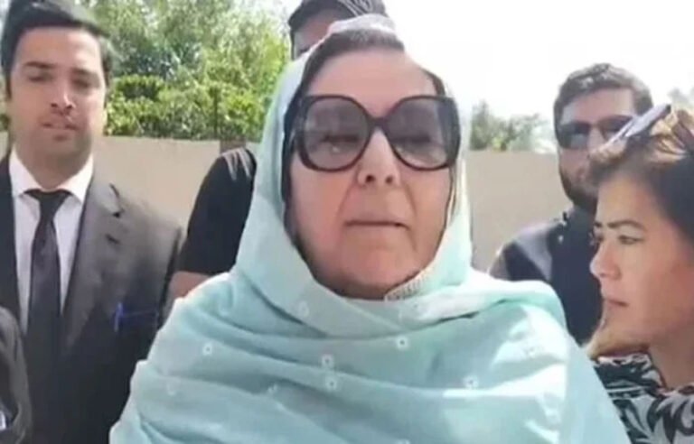 نورین خان کا پی ٹی آئی خیبرپختونخوا کی منتخب قیادت کے حوالے سے اہم بیان