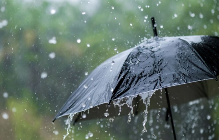 آئندہ 24 گھنٹوں میں موسم کیسا رہے گا؟ محکمہ موسمیات نے بارش کی پیشگوئی کر دی
