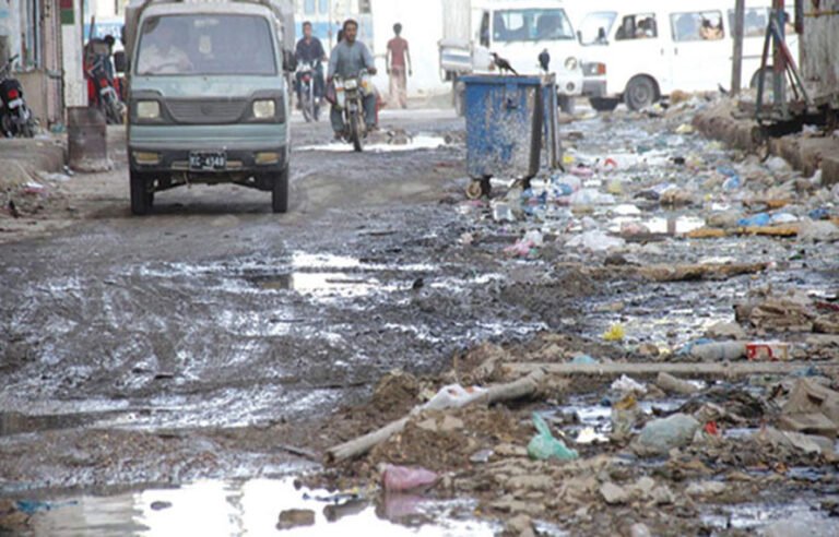 پشاور میں گندگی کے ڈھیر اور مچھروں کی بھرمار! خیبر پختونخوا حکومت کی غفلت شہریوں کیلئے خطرے کا سبب بن گئی