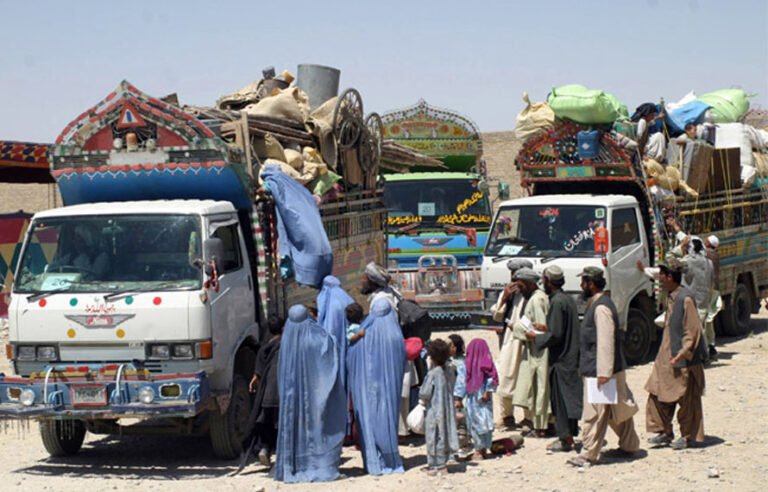 صوبائی حکومت کی کارروائی! افغان مہاجرین کے 14 کاروباری مراکز سیل