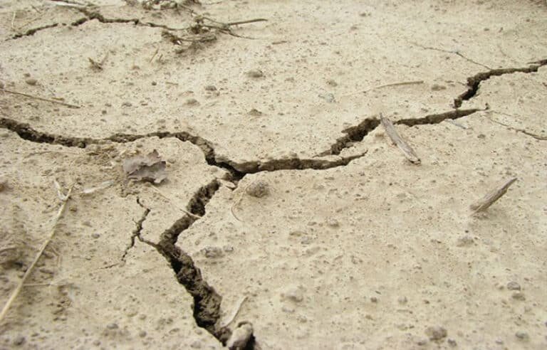 انڈونیشیا کے جزیرے سولاویسی میں 6.7 شدت کا زلزلہ، عوام میں خوف و ہراس