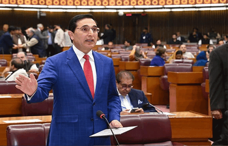 بجٹ میں ریلیف کہاں ہے؟بیرسٹر گوہر نے حکومت کے دعووں کی قلعی کھول دی