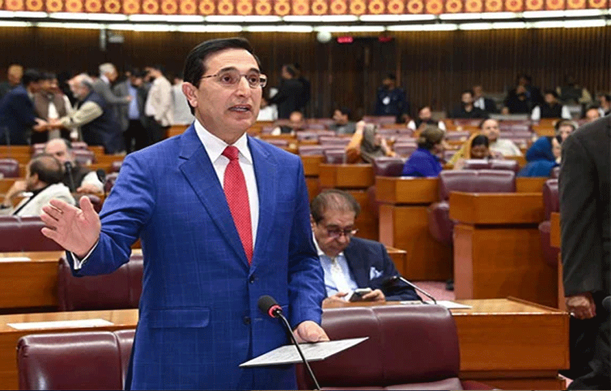 بجٹ میں ریلیف کہاں ہے؟بیرسٹر گوہر نے حکومت کے دعووں کی قلعی کھول دی