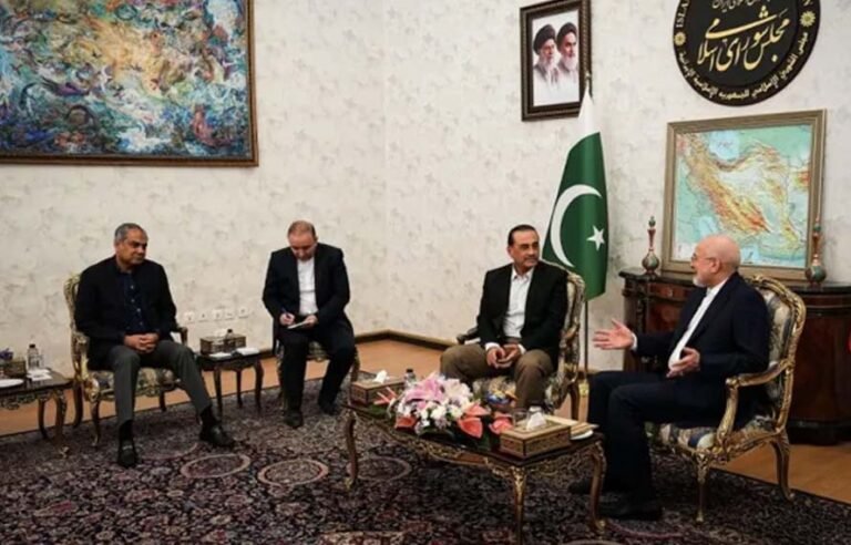 فیلڈ مارشل اور ایرانی صدر کی ملاقات میں کیا بات چیت ہوئی؟ وزیر داخلہ نے تفصیلات بتادیں