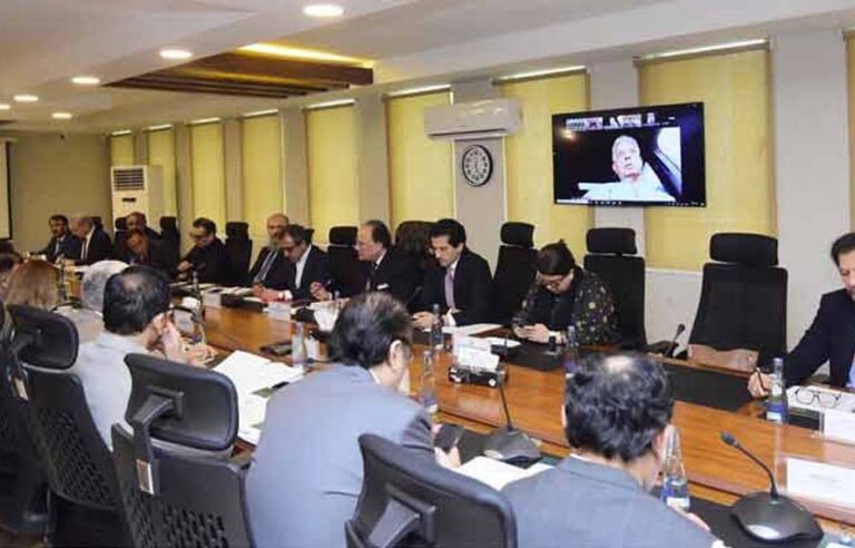 کس گاڑی کو کتنا ریلیف ملے گا؟ای سی سی نے وزیراعظم کے فیول ریلیف پیکج کی منظوری دیدی